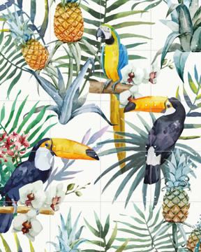 'The Toucan Family' by Creative Lab Amsterdam