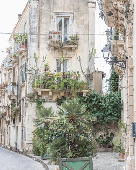 Botanical Street Scene