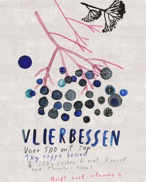 'Vlierbessen' von Signorinah