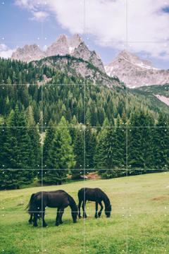 'Friesian Horses in Alps' van Pati Photography
