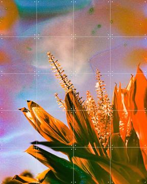 'On the Bright Side' by Amber Lauder