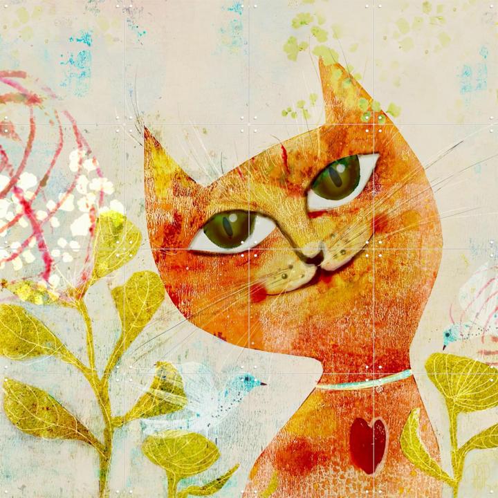 Sweet Red Cat