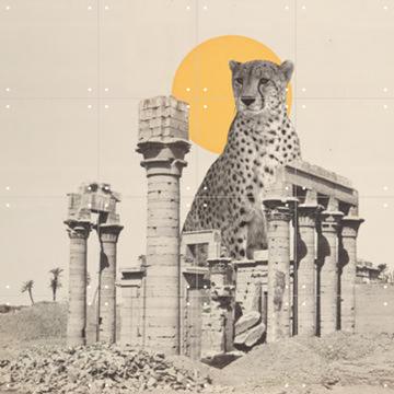 'Giant Cheetah in Ruins' von Florent Bodart