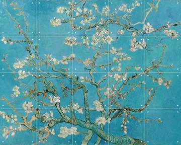 IXXI - Almond Blossom by Vincent van Gogh & Van Gogh Museum