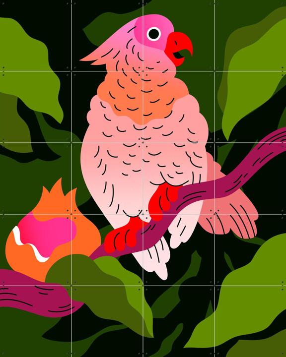 Cockatoo with Pomegranate