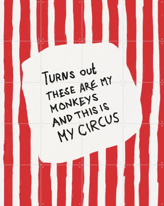 My Circus My Monkeys