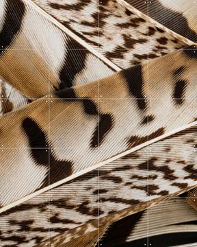 'Abstract lijnenspel in bruintinten - Veren van  een fazant ' by Marjolijn van den Berg