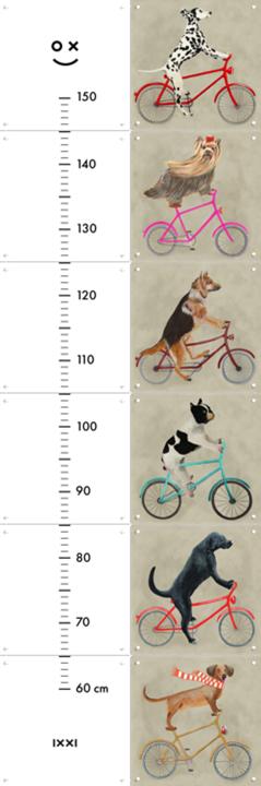 Dogs on Bicycles Growth Chart