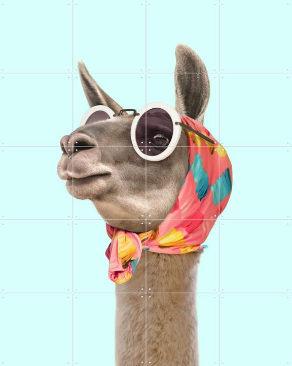Fashion Lama