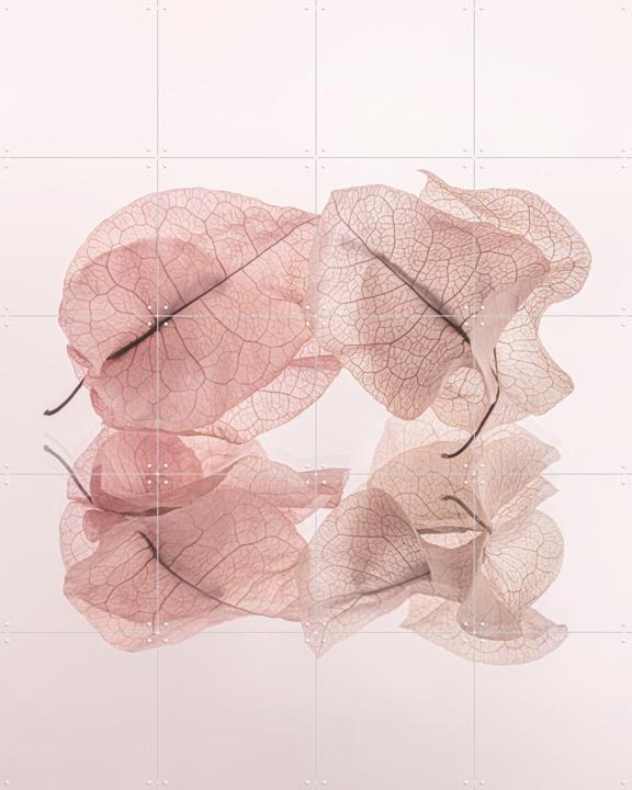 Fragiel en vergankelijk stilleven - Onze laatste tijd samen