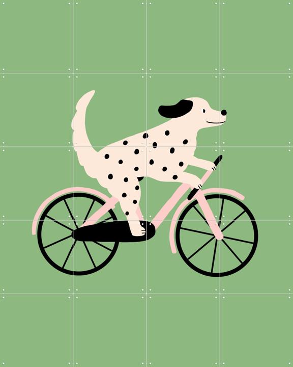 Spotted Dog Riding a Bicycle