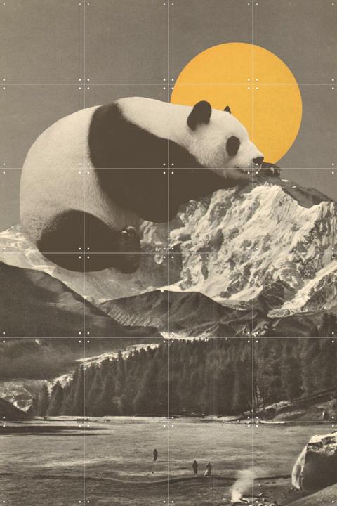 Giant Panda Nap