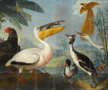 IXXI - Exotic Birds by Desportes François  & Musée du Louvre