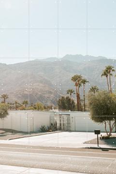 'Palm Springs' by Chris Abatzis