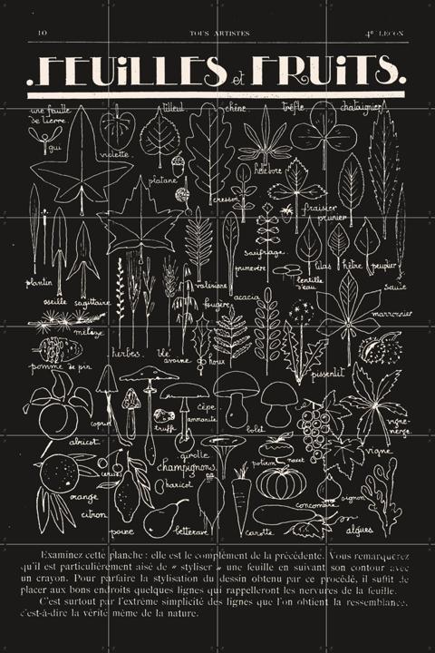 Feuilles et Fruits noir