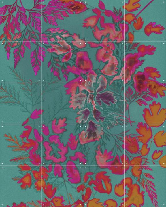 Everything To Everyone