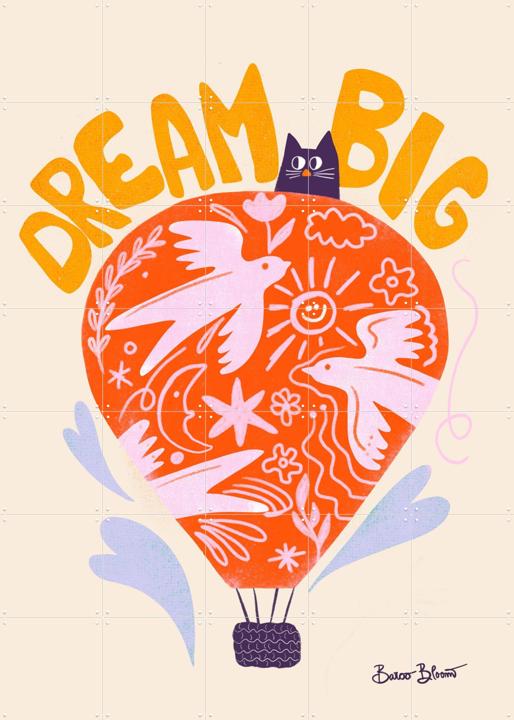 Dream Big Hot Air Balloon
