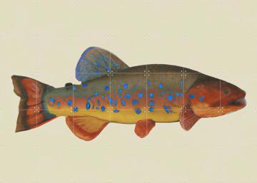 'Radiant Reef' van Interiorisla