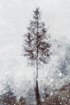 'Winter Tree' van Photolovers