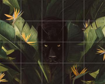 IXXI - Hello Panther by Florent Bodart 