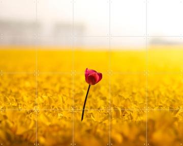 'Dutch Rebels Idealist' van Claire Droppert