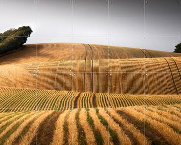 'Danish Carpet ' van Claire Droppert