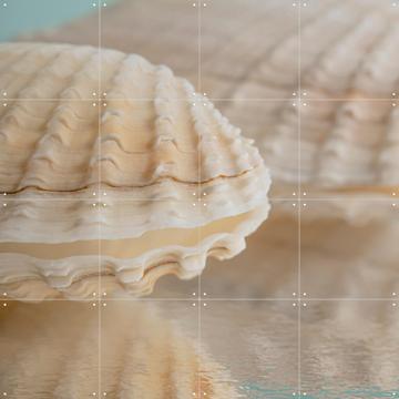 'Vakantiegevoel in pastelkleuren- Een schelp van een boormossel ' by Marjolijn van den Berg