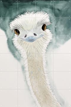 IXXI - Happy Ostrich by Natalie Bruns 