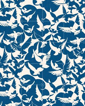 'Nuee d oiseaux' par Aster Edition