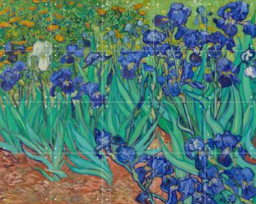 'Irissen' van Vincent van Gogh