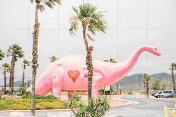 IXXI - Pink Dinosaur Love door Pati Photography 