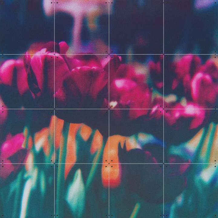 Finding Joy