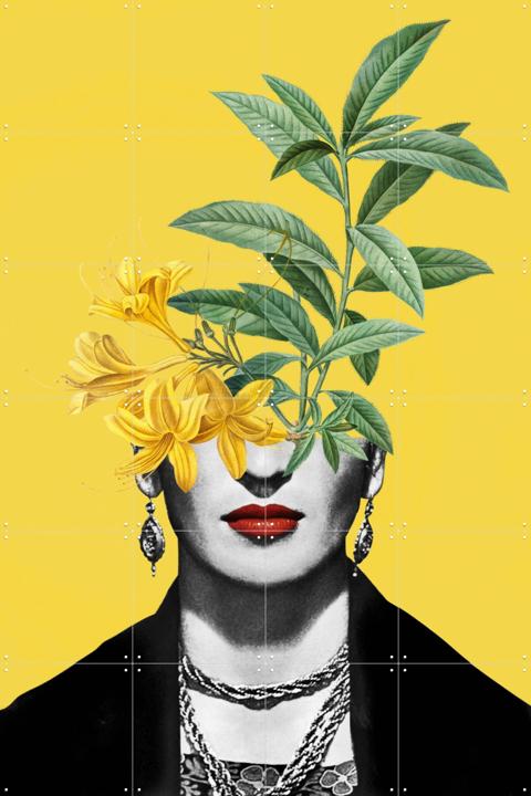 Frida, Complicated Simplified