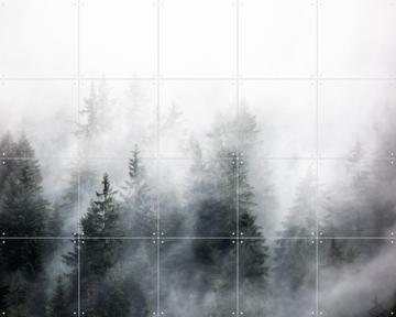 'Foggy Woods 6' von Mareike Böhmer