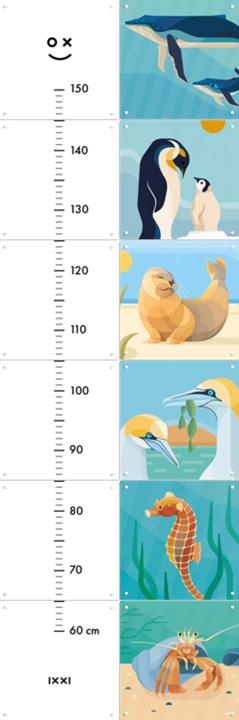 Water Animals Growth Chart