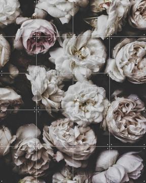 'Peony Roses' von STUDIO HANNAH LEMHOLT