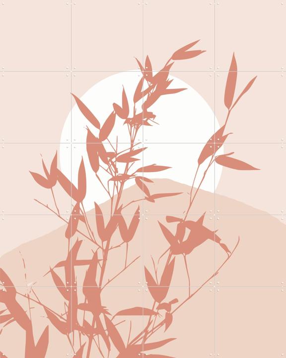 Bamboo Silhouette Sunrise