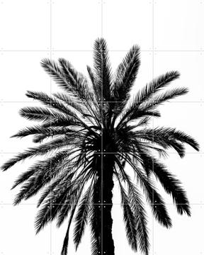 'Palm in Palermo' par Photolovers