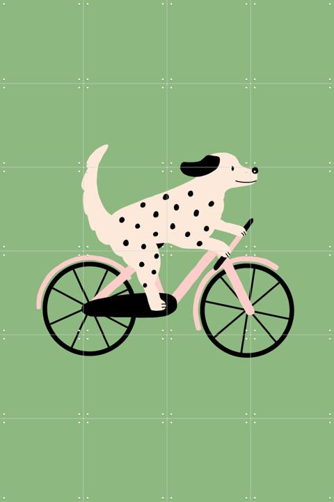 Spotted Dog Riding a Bicycle
