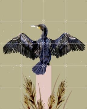 'Cormorant' van Esther Sepers