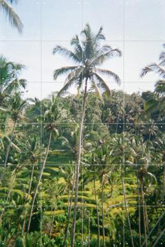 'Ubud Ricefield Terrace' von We Like Bali