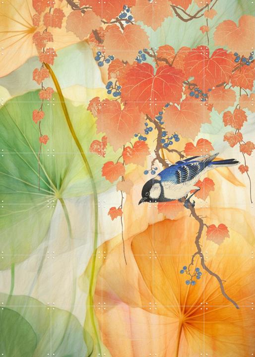 Le Printemps d'Ohara