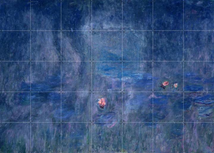 Les Nymphéas: Reflets d'arbres