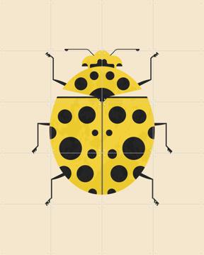 'The Lemon Ladybird' van Studio Kars + Boom