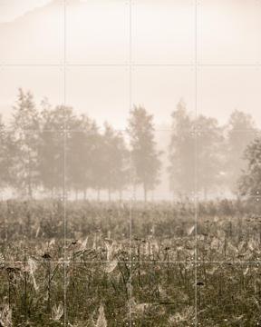 'Foggy Morning' by Mareike Böhmer