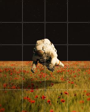 'Missing Nature' von Fran Rodriguez