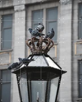 IXXI - Doves on Dam Square door Edwin Fotografeert & Kunst in Kaart