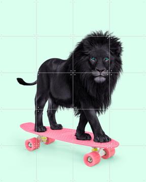 'Skate Lion' by Paul Fuentes