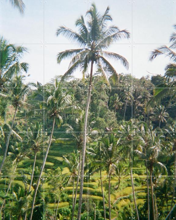 Ubud Ricefield Terrace