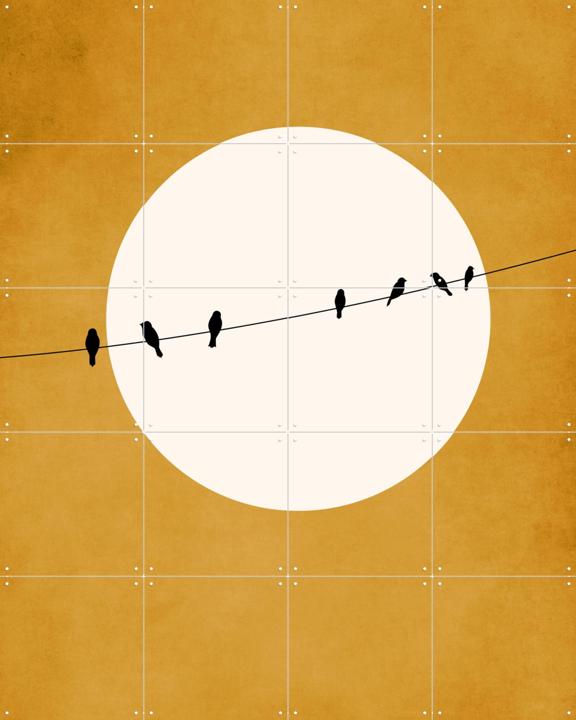 Chirping and Chilling